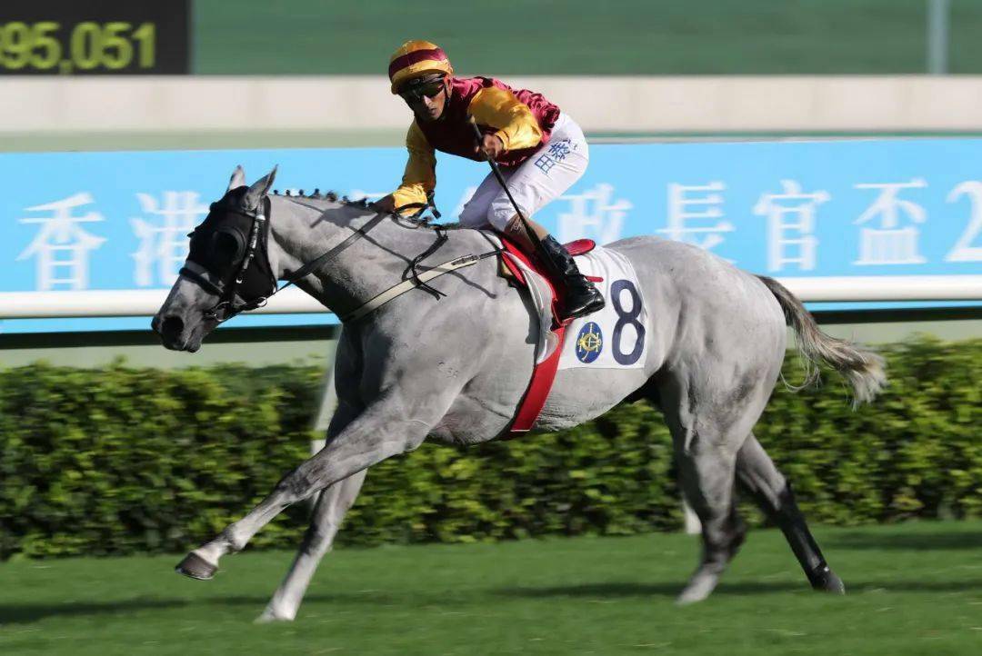 开云app-加时末段全明星赛焦点战，夏洛特黄蜂临场应变，压力陡增，临场指挥获称赞(博塔斯为什么叫77)